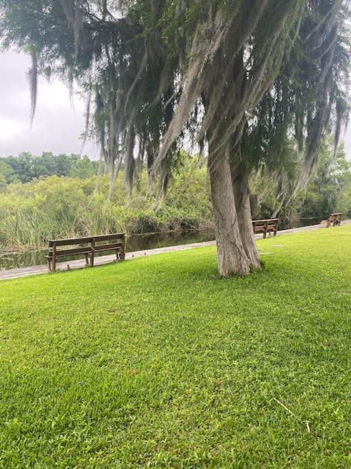 Appartamento Professor Rousseau'S Manatee Bay Crystal River Esterno foto