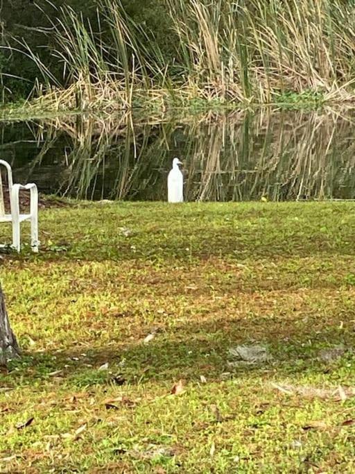 Appartamento Professor Rousseau'S Manatee Bay Crystal River Esterno foto