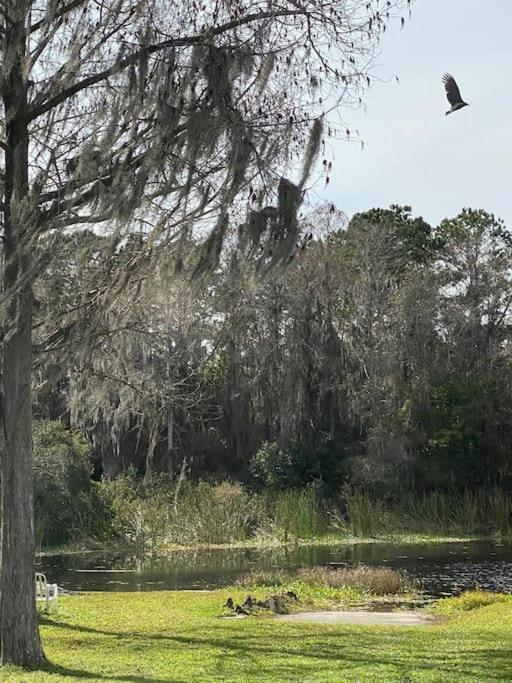 Appartamento Professor Rousseau'S Manatee Bay Crystal River Esterno foto